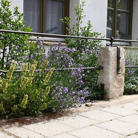 Ubytovani Na Statku Vedomice Ngoại thất bức ảnh